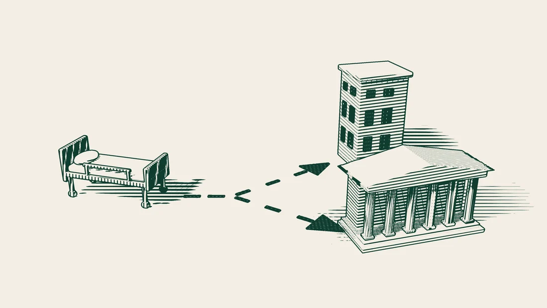 A path from a hospital bed splits in two, one branch to a multi-storey private hospital, the other to a columned public building.